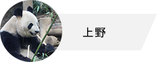 上野